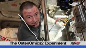 Space to Ground: Investigating Bone Loss: 02/28/2020